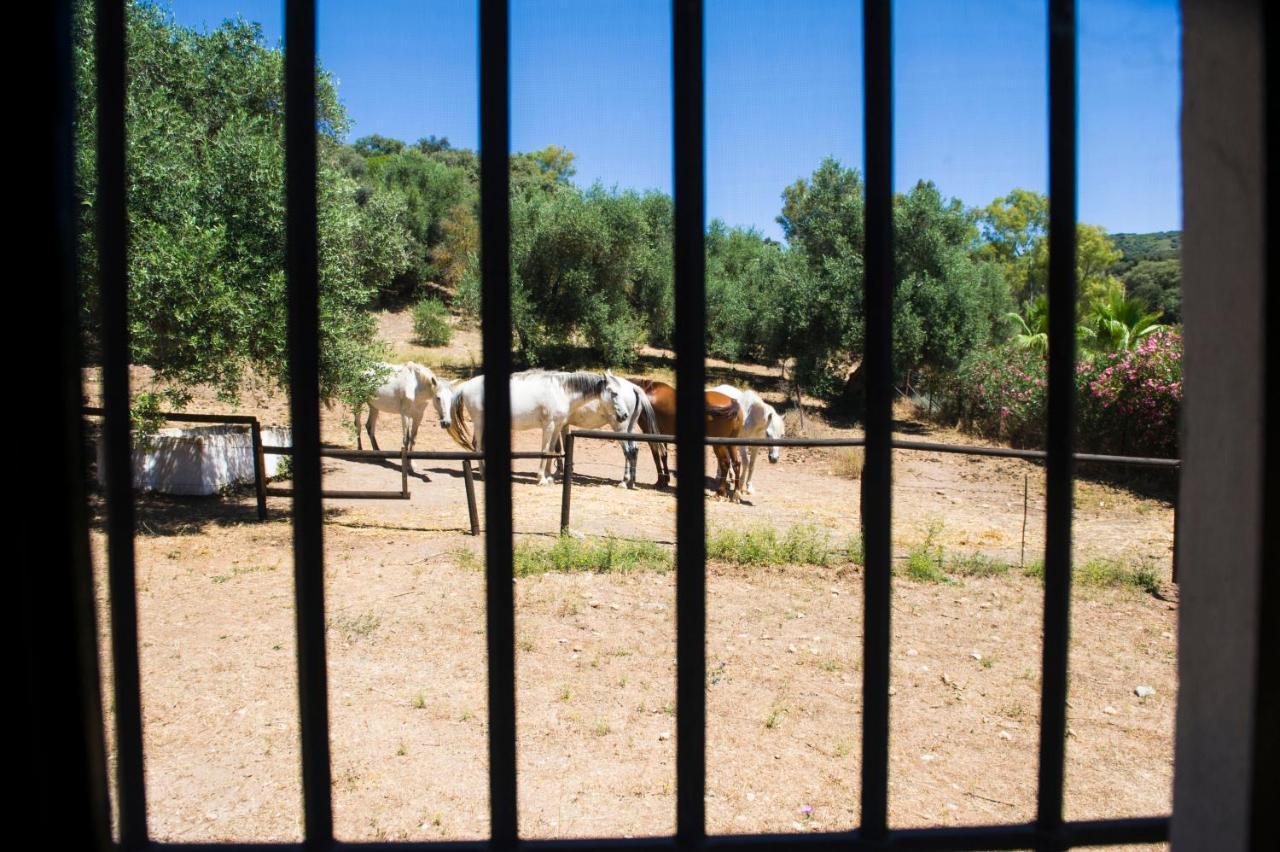Casa Abanto Villa Ronda Dış mekan fotoğraf