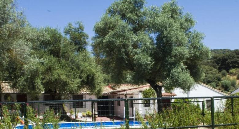 Casa Abanto Villa Ronda Dış mekan fotoğraf
