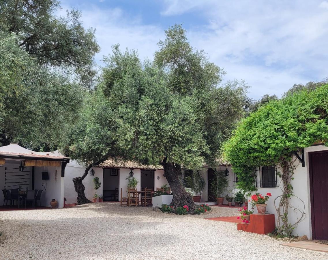 Casa Abanto Villa Ronda Dış mekan fotoğraf