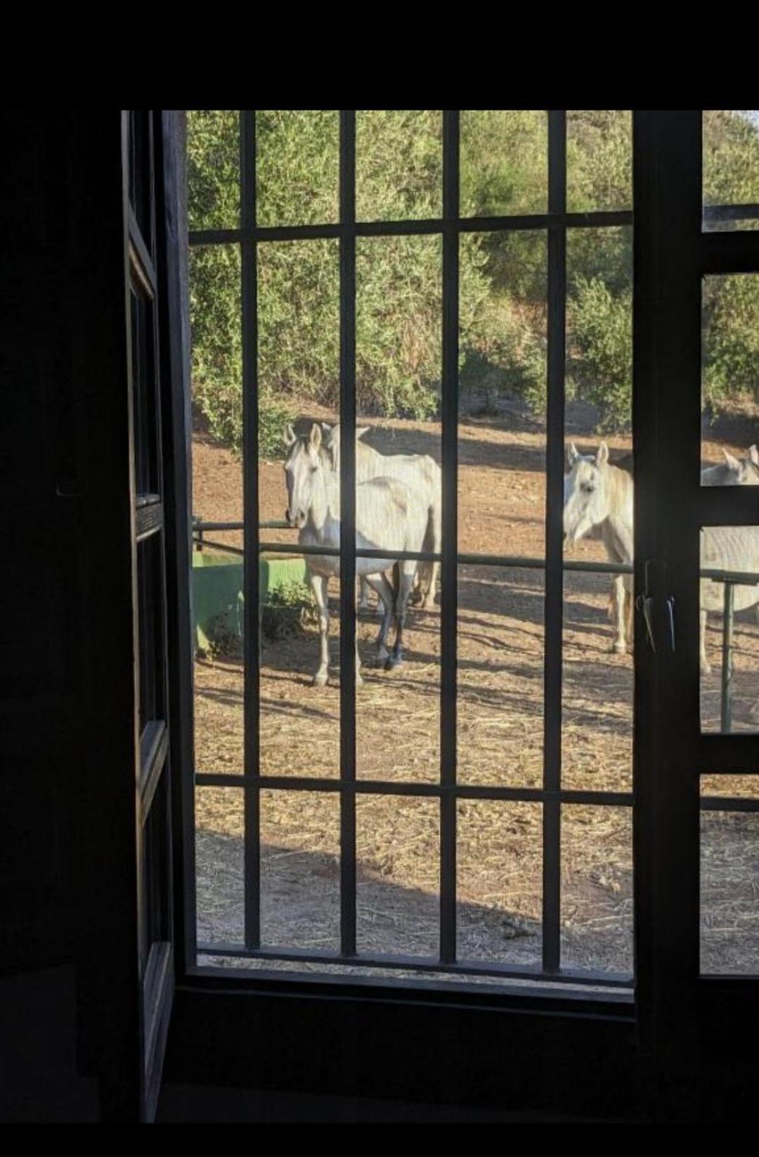 Casa Abanto Villa Ronda Dış mekan fotoğraf