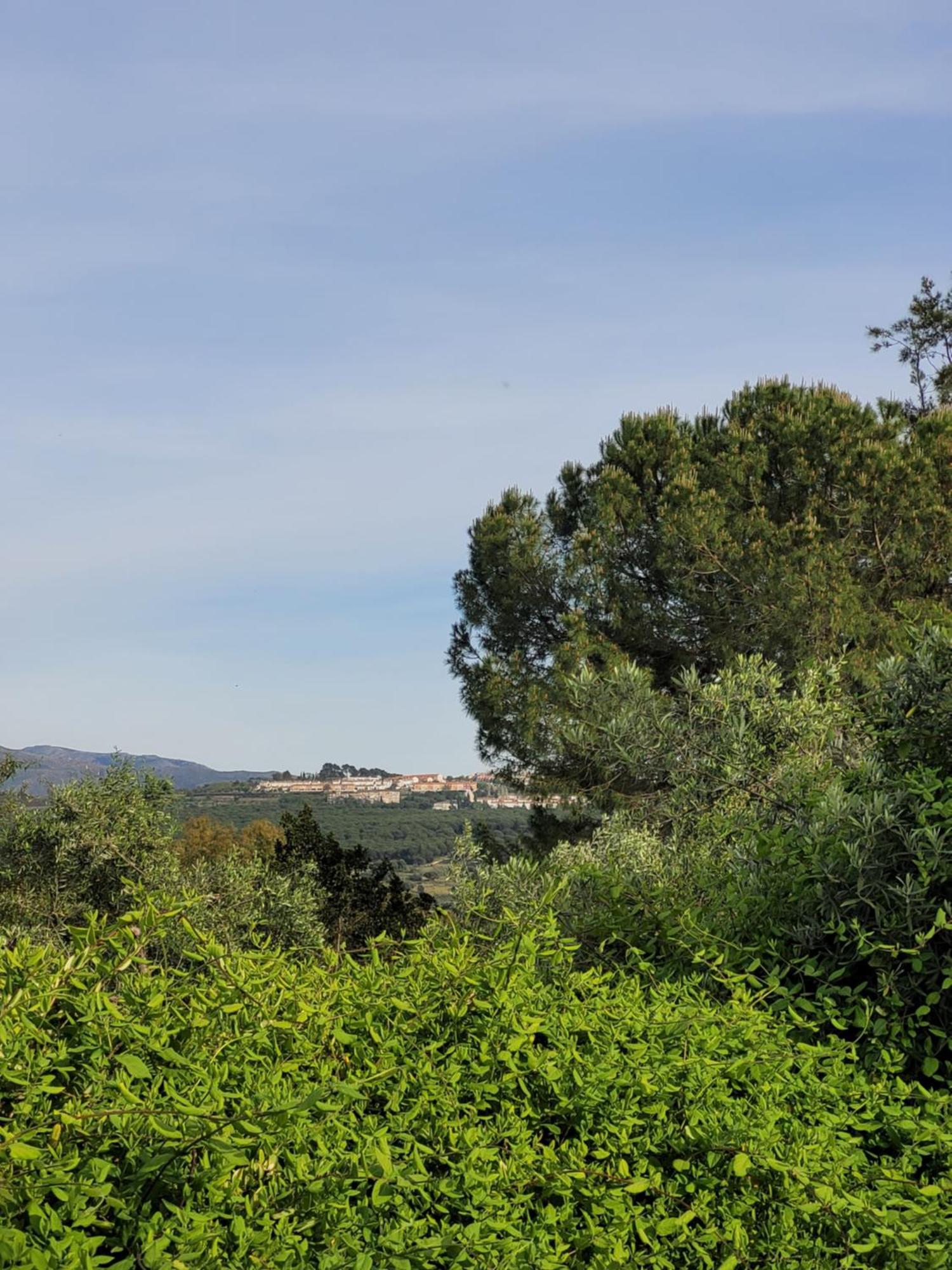 Casa Abanto Villa Ronda Dış mekan fotoğraf